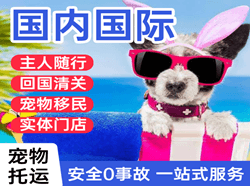 广元盘龙航空快运国际宠物托运 【国